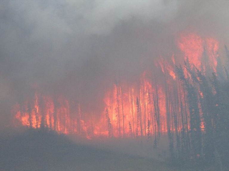 Red Cross continuing relief efforts from 2017 wildfires
