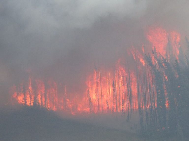 Nadina Lake wildfire expands to 46,000 hectares, Verdun Mountain blaze shrinks