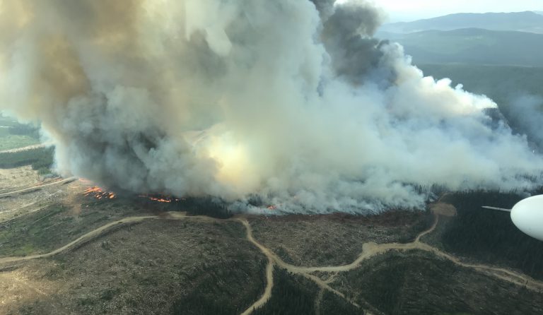 Wildfire crews make further strides on Shovel Lake and Chutanli Lake blazes