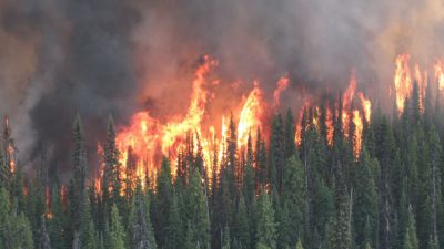 Shovel Lake wildfire growth due to “better mapping”: BC Wildfire Service