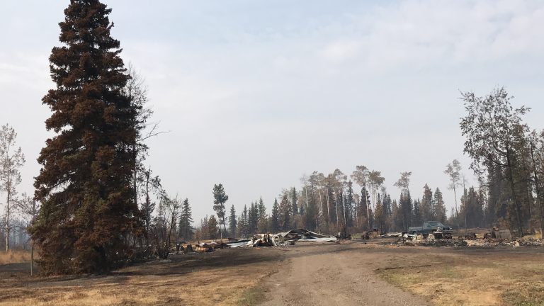RDBN gets $5 million from BC, federal governments to help farmers with wildfire recovery