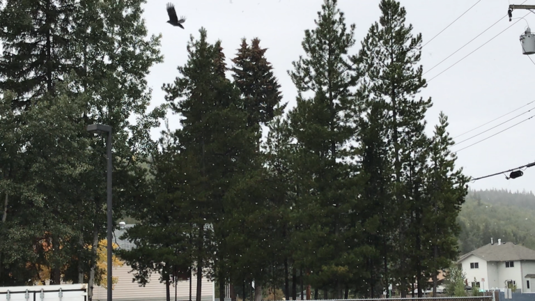 WATCH: Vanderhoof, Prince George get the cold shoulder in September