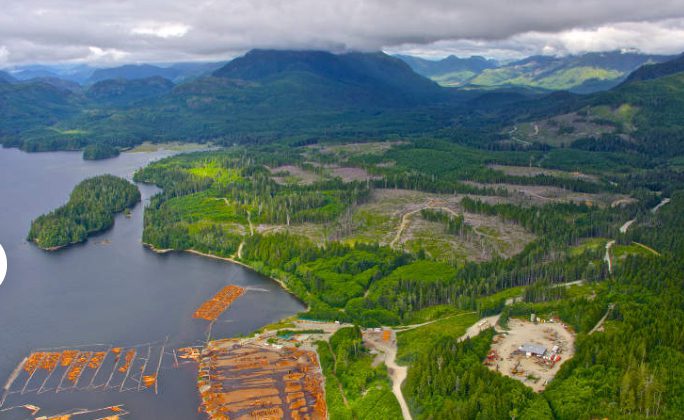 Steelhead LNG ceases work on natural gas pipeline