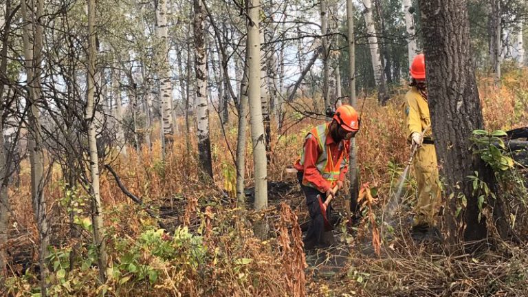 BC Wildfire confirms two small fires in the region