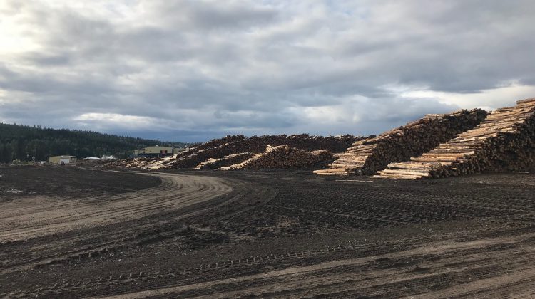 Two-week curtailment at the Conifex Mackenzie sawmill begins today