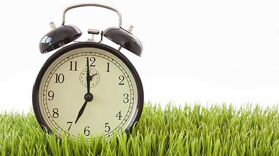 It’s time to Spring forward for Daylight Savings
