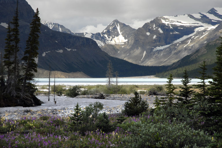 Most BC Parks open for May long weekend