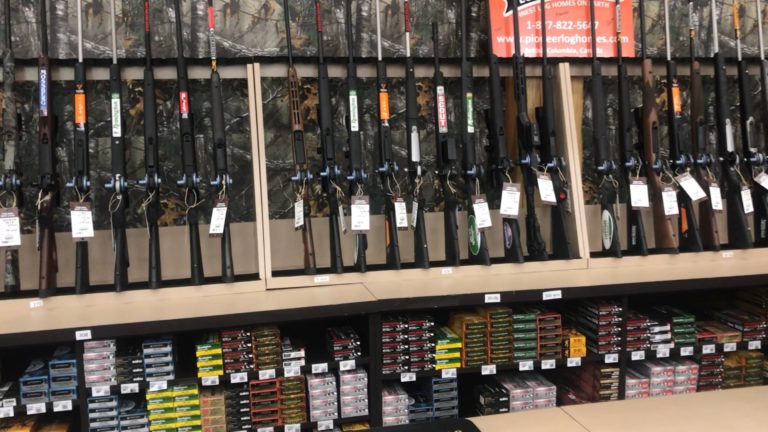 Ottawa looking at variety of options for firearm buyback: Federal Public Safety Minister