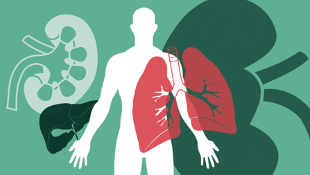 20 people in Northern Health received an organ transplant in 2024