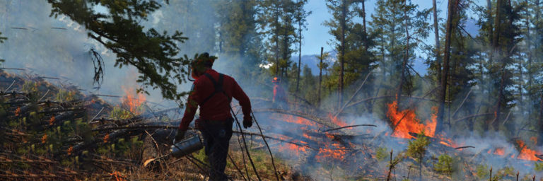 BC Wildfire Service conducts fuel management burns North of Vanderhoof