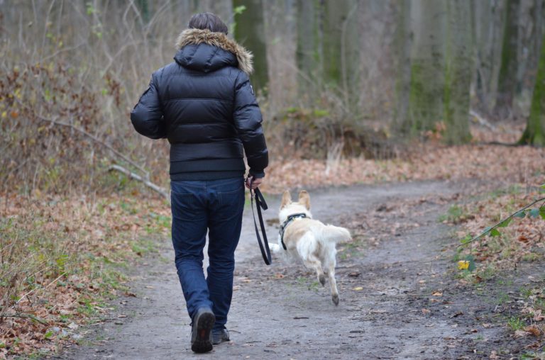 BC SPCA launching AnimalKind program for pet businesses