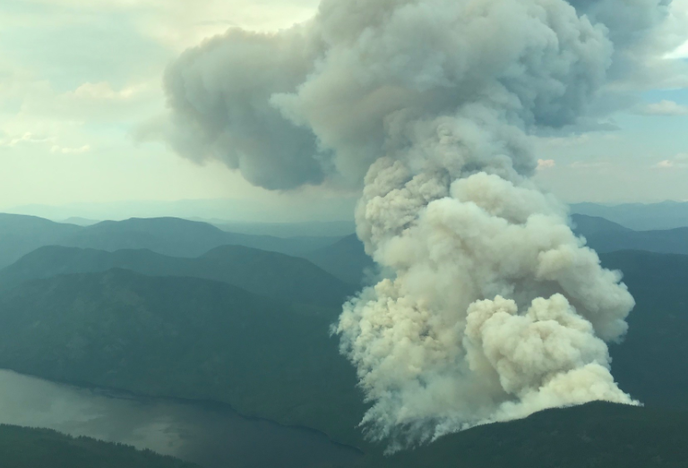 Majority of B.C. wildfires this year have been human caused