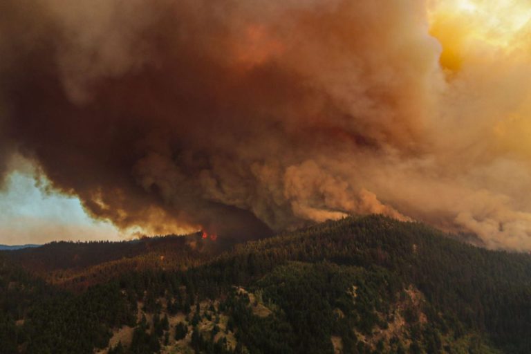 Kamloops Fire Centre has almost half of the wildfires of note in the province