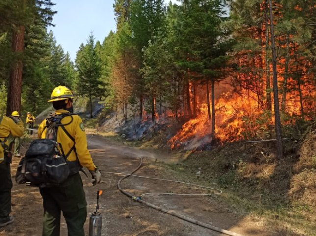 Wildfire activity cools down in Prince George Fire Centre
