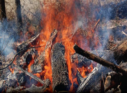 Campfires to be allowed in the Robson Valley as wildfire activity slows down