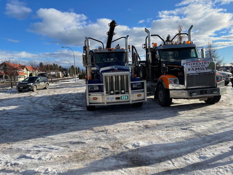 Smithers citizens raise awareness of old growth deferrals during rally