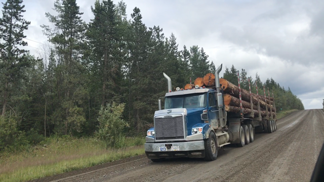 Should Canfor be allowed to sell timber harvesting rights?