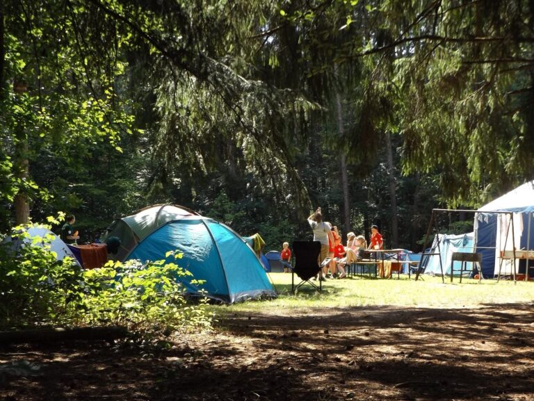 BC campers will be able to make online bookings starting January 3rd