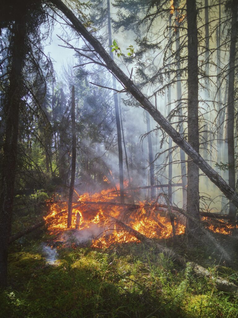 What is a prescribed fire? BC Wildfire Service explains