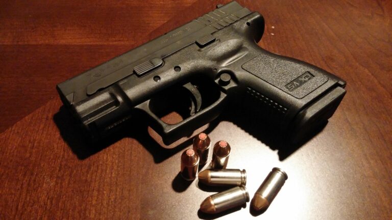 PG business owner not endorsing federal gun buyback program