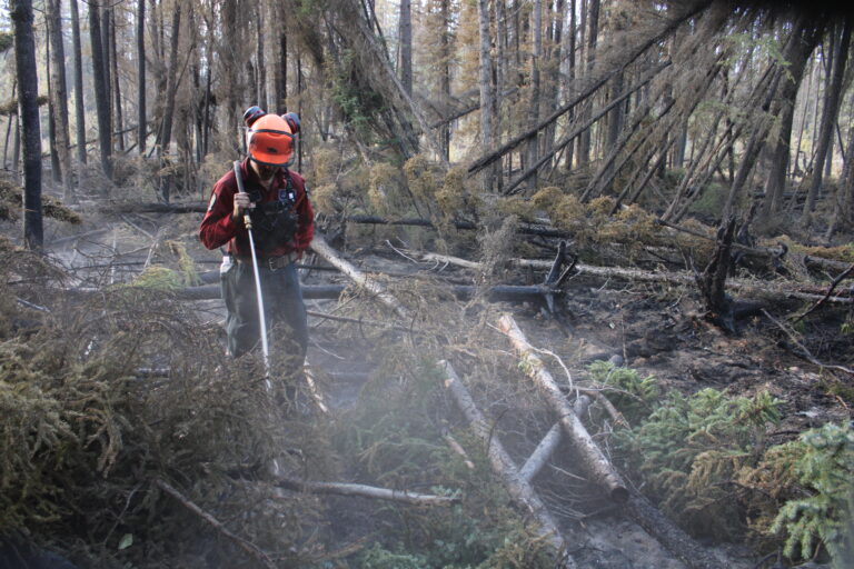 Planned ignition underway on Bearhole Lake Wildfire