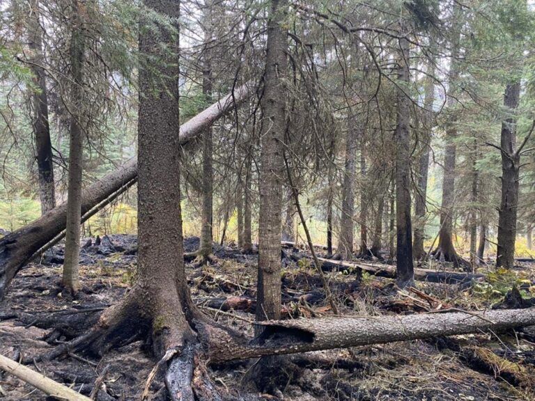 Area restrictions lifted at Battleship Mountain wildfire, Hudson’s Hope residents breathe easier