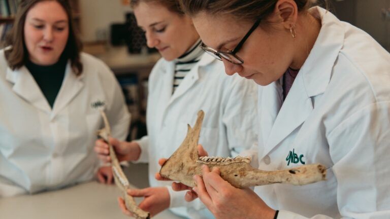 UNBC’s research income tops $15-million in 2022