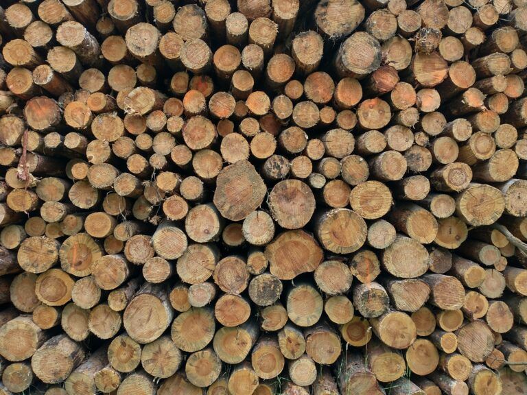 Global investment, increased wood supply top priorities for BC Council of Forest Industries at PG conference