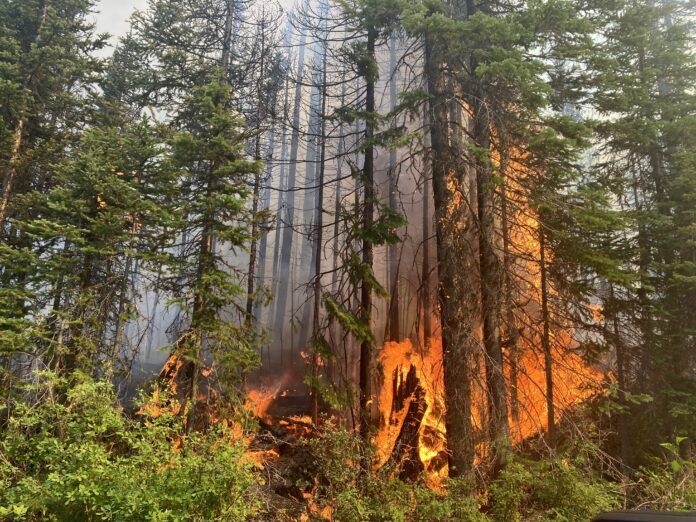 2024 becomes costliest year for severe weather-related losses in Canada