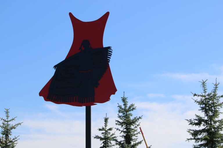 Federal Government endorses Red Dress Alert proposal