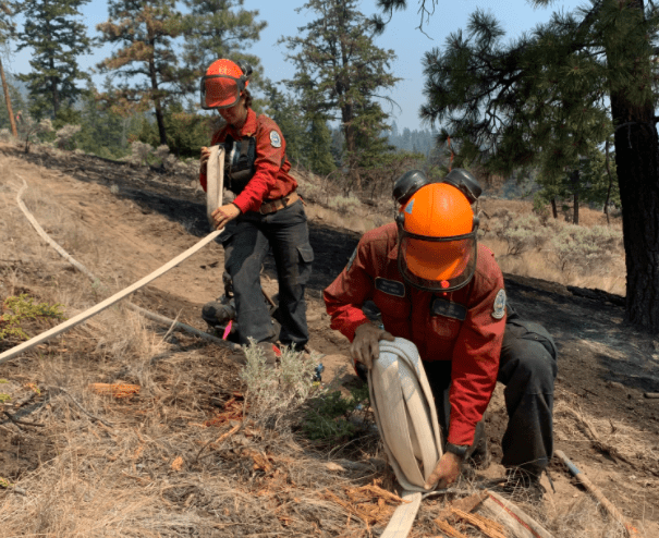 Progress being made in fight against fires in Prince George Fire Centre