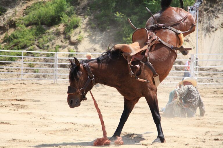 450 riders to compete in Prince George weekend rodeo