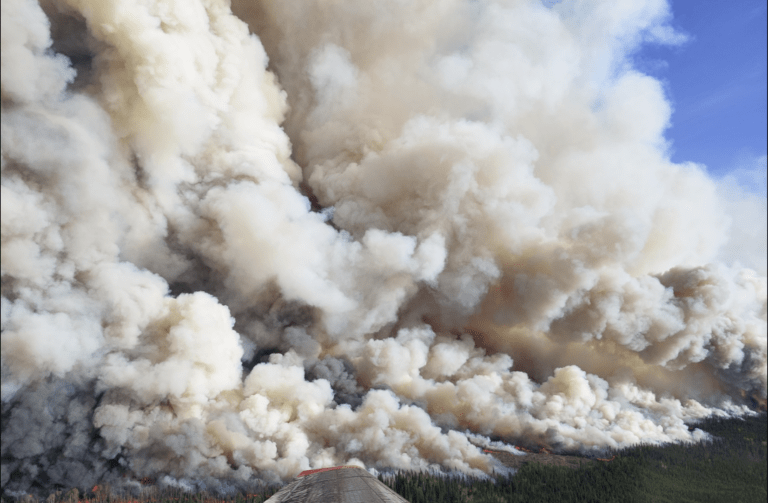 More area burned in PG Fire Centre this year than last 22 years combined