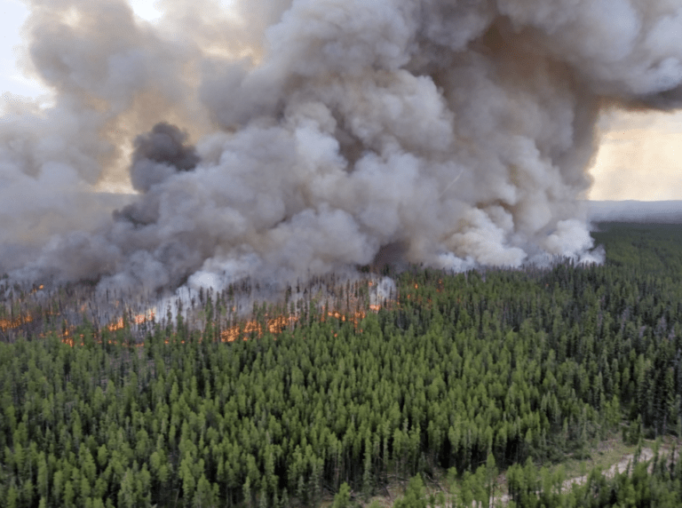Rain helping as worst-ever BC fire season rages on
