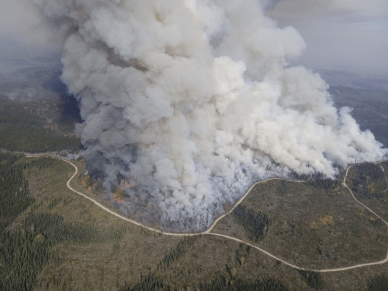 Quesnel part of University of Alberta research on wildfire evacuation