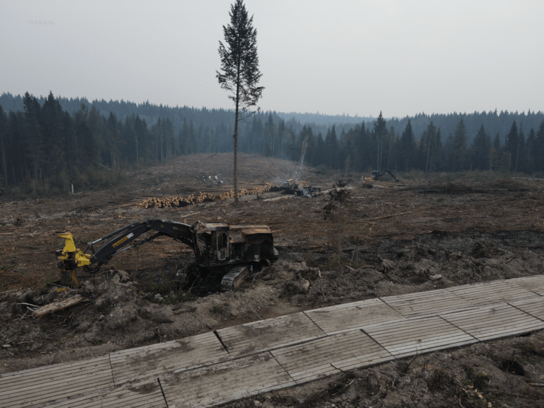 Logging site arson in PG leads results in million dollars worth of damaged equipment
