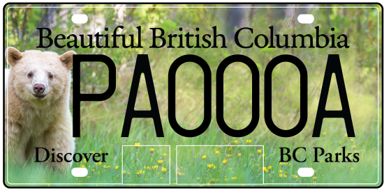 ICBC looking at expanding special license plates