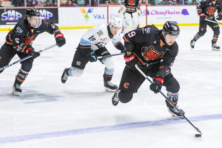 Cougars fall to Winterhawks in feisty affair