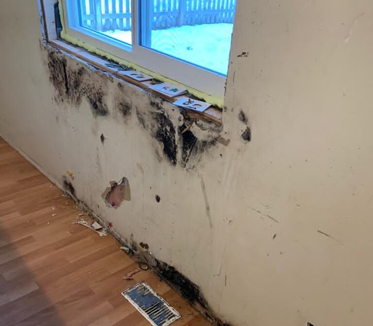Remote First Nation in the north sounds alarm bell over current housing conditions