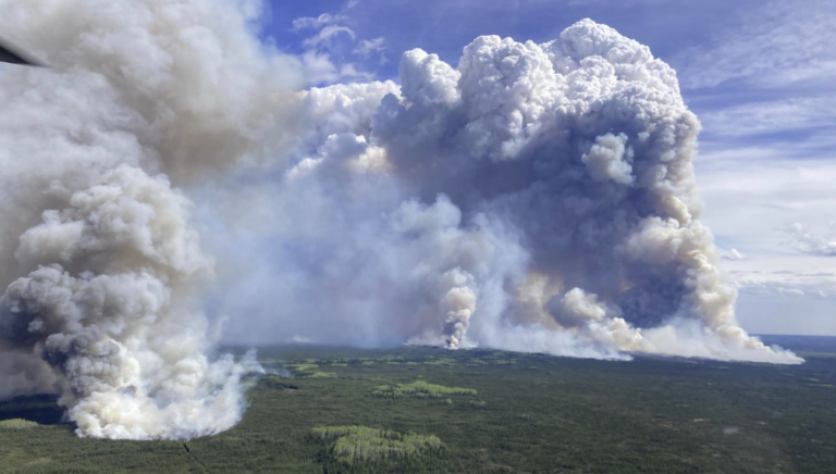 United Way offering grants to non-profits offering wildfire relief