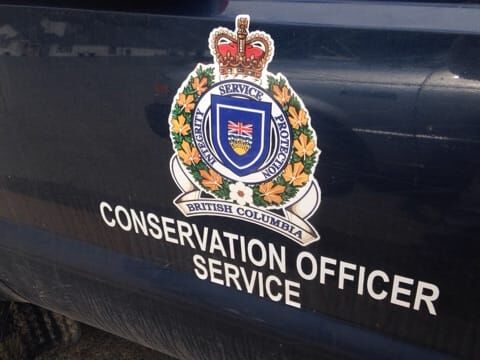 Conservation Officer Services levies heavy fine against Fort Saint James man